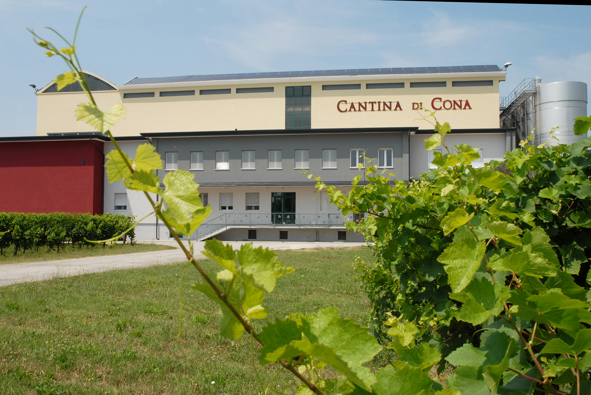 Cantina di Cona Cantina di Cona