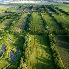 Azienda agricola Fidora